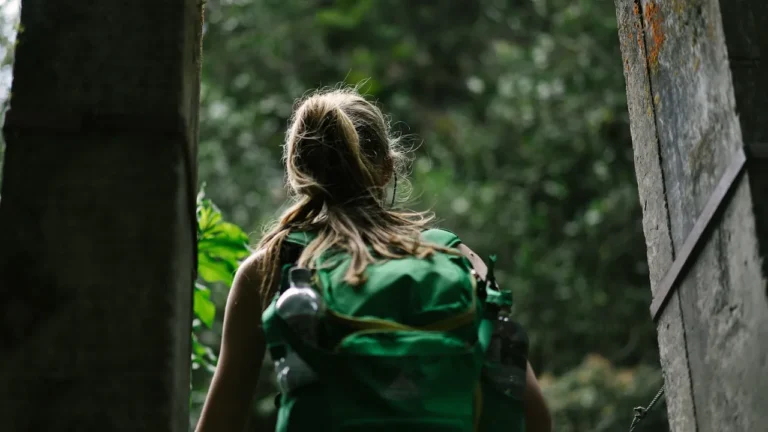 Student Backpack Guide: Protecting Young Spines Through Smart Choices