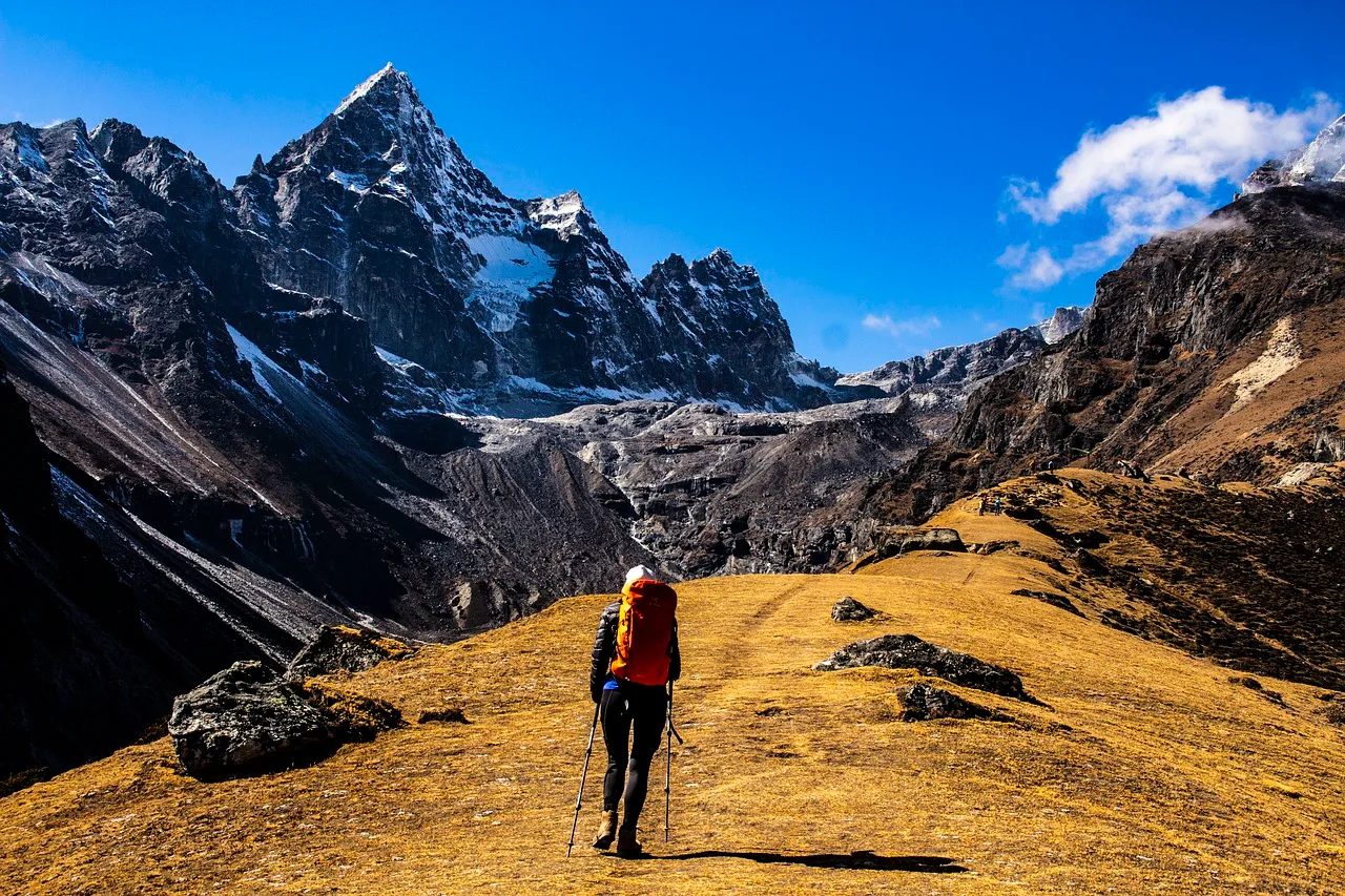 The Complete Guide to Camera Bags: Choosing the Perfect Companion for Your Photography Gear