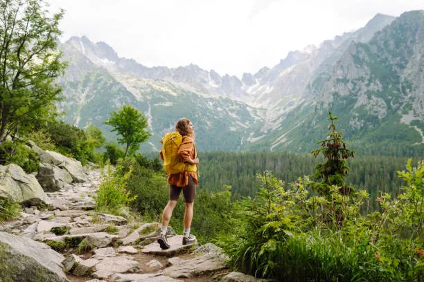 A Guide to Choosing and Maintaining Children's Backpacks for a Healthy School Life