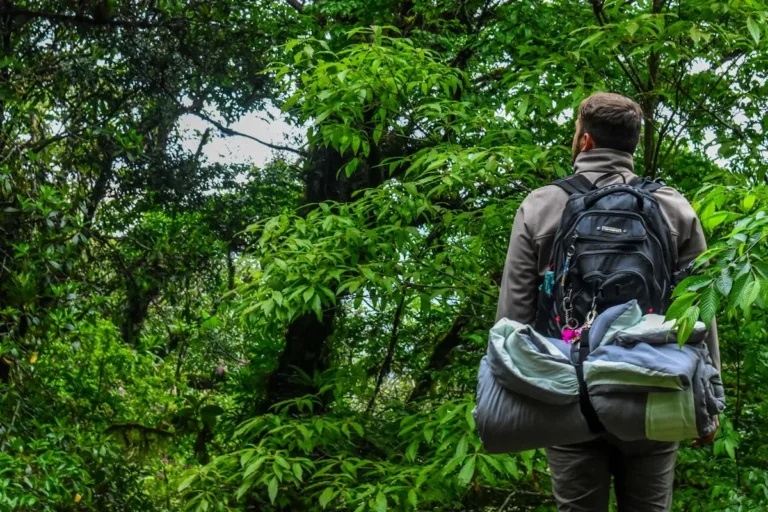 Fitness Bag Guide: Tips for Choosing, Organizing, and Maintaining Your Gym Bag