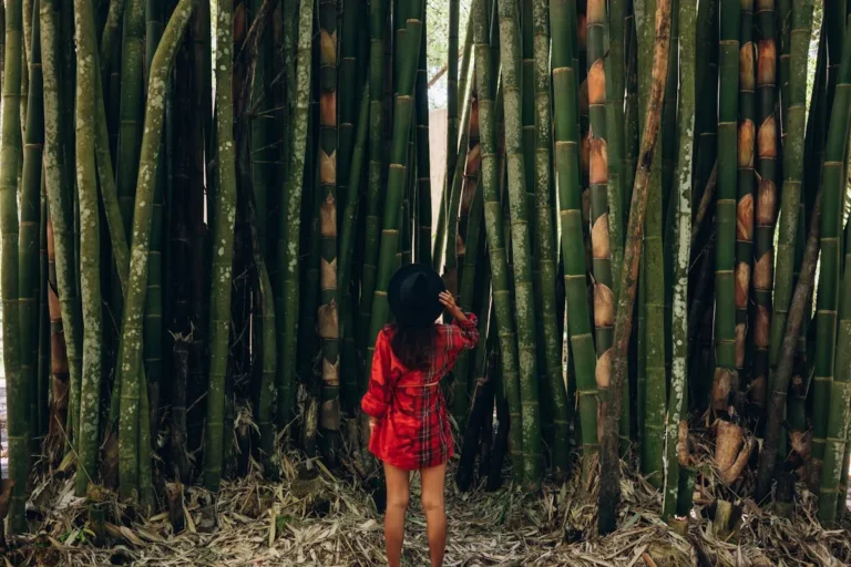 Fashionable Backpack Styling Guide: How to Make Your Backpack the Highlight of Your Outfit