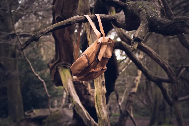 The Photographer's Backpack: Ultimate Guide to Capturing Perfect Moments
