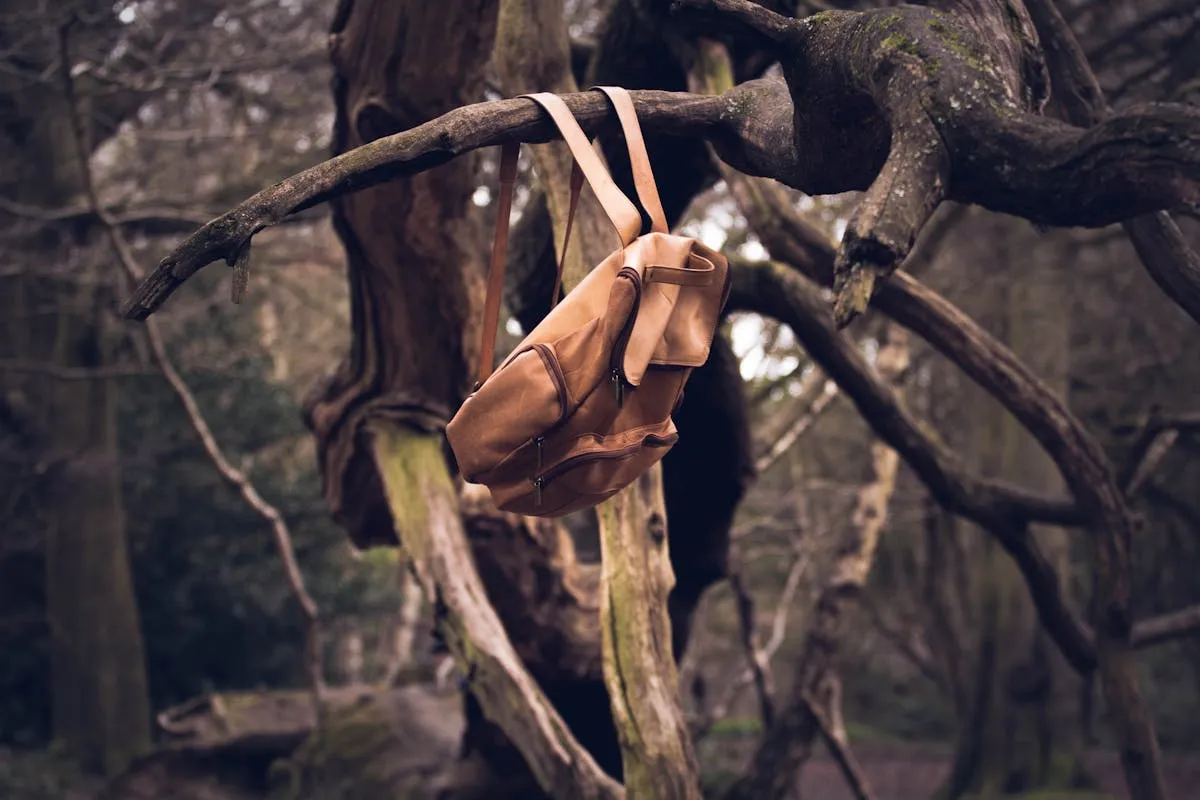 The Photographer's Backpack: Ultimate Guide to Capturing Perfect Moments